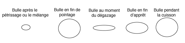 Bulles